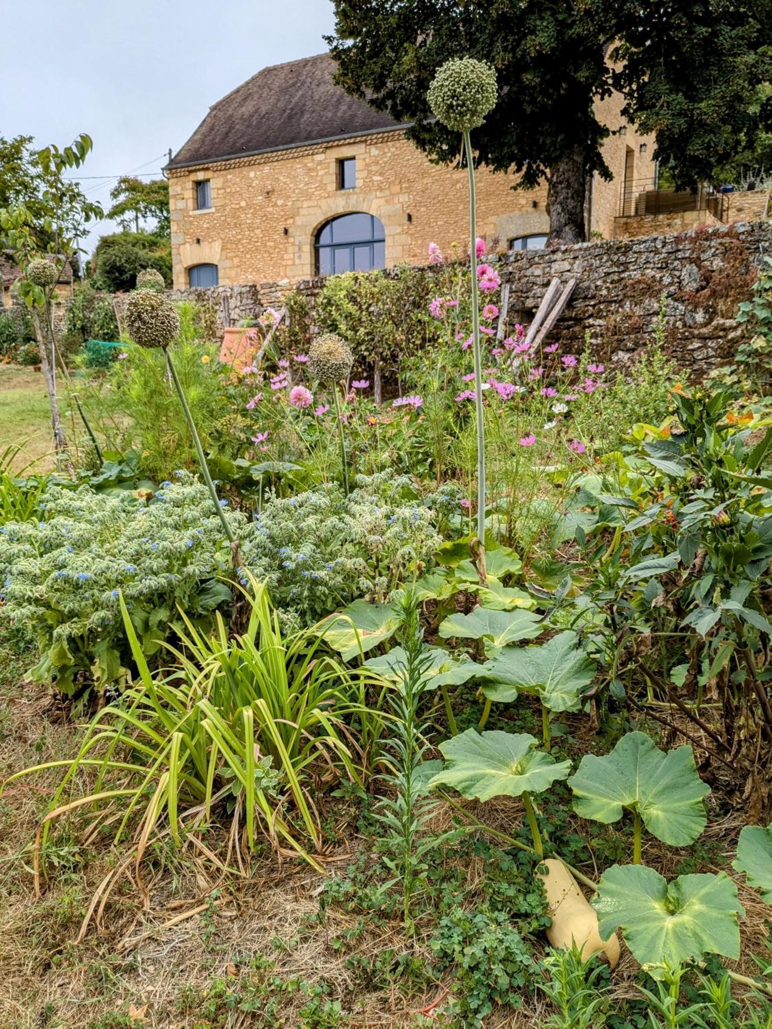 La Grange Symphorine, Chambre D'Hotes De Charme Situee Entre La Vallee De La Dordogne Et La Vallee De La Vezere Meyrals Exterior foto